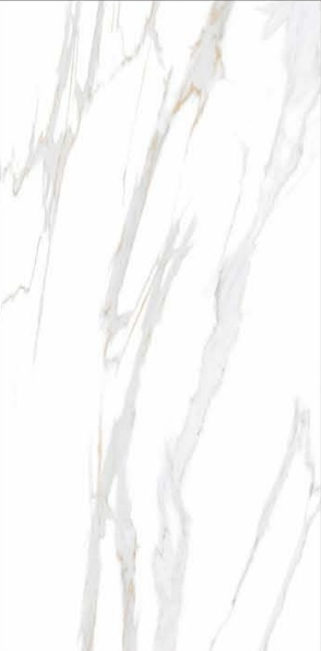 VENUS WHITE BOOK MATCH 24x48